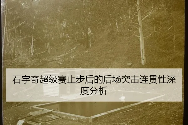 石宇奇超级赛止步后的后场突击连贯性深度分析